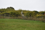 WJ5_7049
