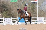 Cls 11 BD Young Horse 7YO portfolio