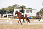 SBM_000958