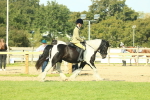 SBM_67589