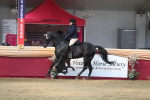 SBM_02951