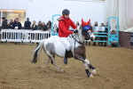 SBM_003927