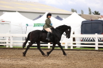 SBM_00235