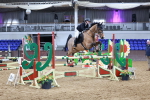 SBM_008385