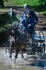 _DSC0061sml