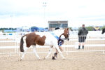 SBM_00341