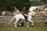 SBM_09141
