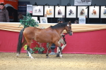 SBM_04175