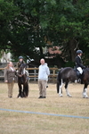 WJ6_8985