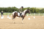 SBM_008673
