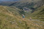Hartsop Hop-440