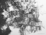 Displaced Reflections (6115)