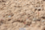240706A-165806-04528