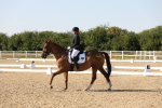 SBM_006886