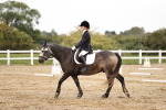 SBM_002598
