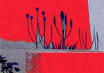 Flower Study