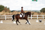 SBM_003484