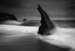 Sharkfin