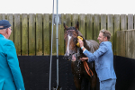 230824-Race 4-Bradsell-8474