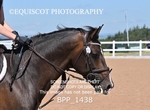 BPP_1438