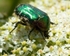 20110614-IMG_5790