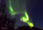 Aurora Fairbanks 9