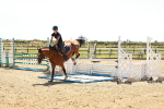 SBM_006973