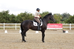 SBM_003732
