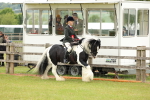 SBM_06261