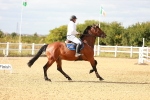 SBM_007795