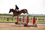 Class 26 - Senior Foxhunter - 1.20m portfolio