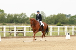 SBM_001841
