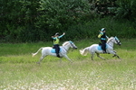 WJ7_8718