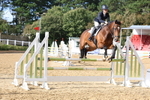 Class 13: Senior Newcomers/1.10m open portfolio