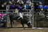 Brenson Bartlett_DSC1663