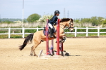 SBM_007554