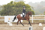 SBM_003871