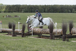 BVHT 140517  IXC -845