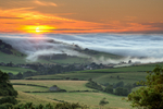 z2112 Evening Mist over Wroxall Down