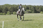 BVHT 140517  NXC -568