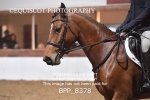 BPP_8378