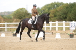 SBM_009748