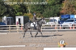BPP_8234