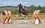 CLASS 7 Senior Foxhunter/ 1.20m Open portfolio