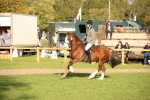 SBM_54339