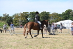 WJ6_8337
