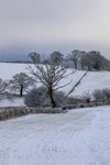 Rural Snowy Landscape