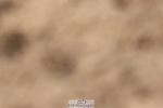 240706A-160536-04338