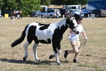 WJ6_8584