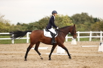 SBM_002648
